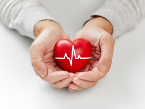 health, charity and people concept - close up of senior man holding red heart with ecg line in hands